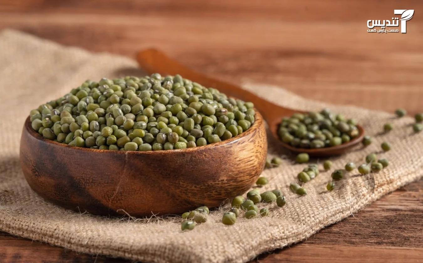 ماش چیست؟ و چطور ماش را عمده بخریم؟ , تندیس صنعت, تندیس صنعت پارس کهن