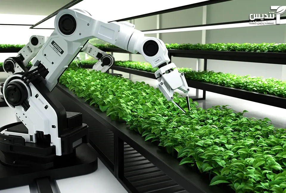 هوش مصنوعی در خدمت غذا: آیندهای هوشمندتر و سالمتر, تندیس صنعت, تندیس صنعت پارس کهن